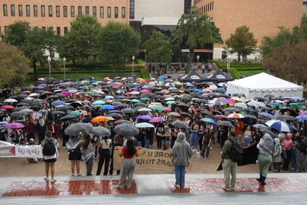 ut protest