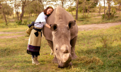 northern white rhino