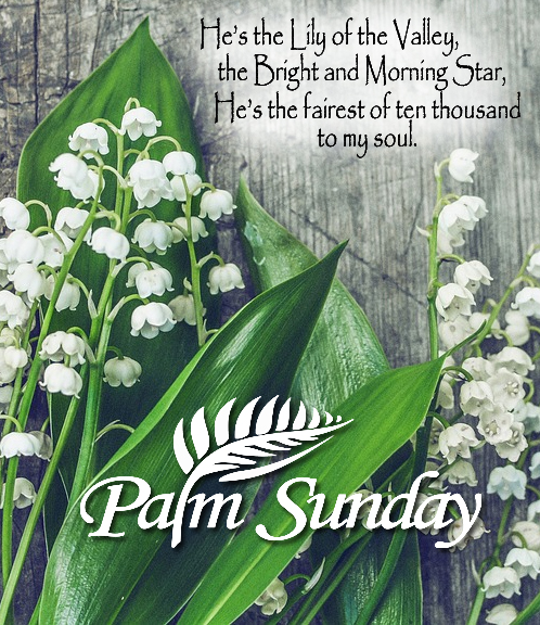 happy palm sunday