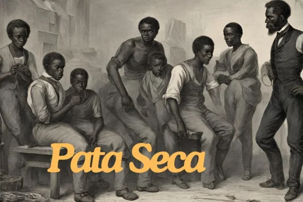 pata seca