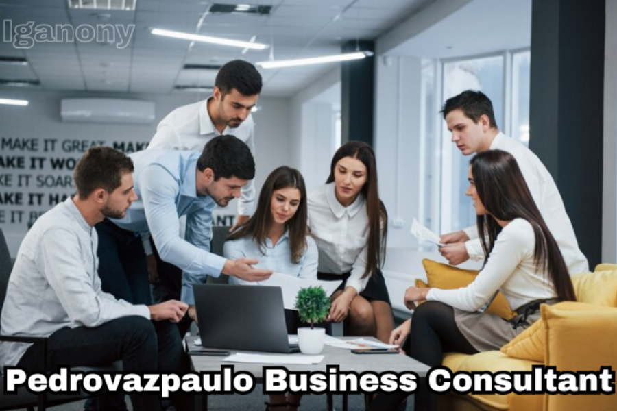 pedrovazpaulo business consultant